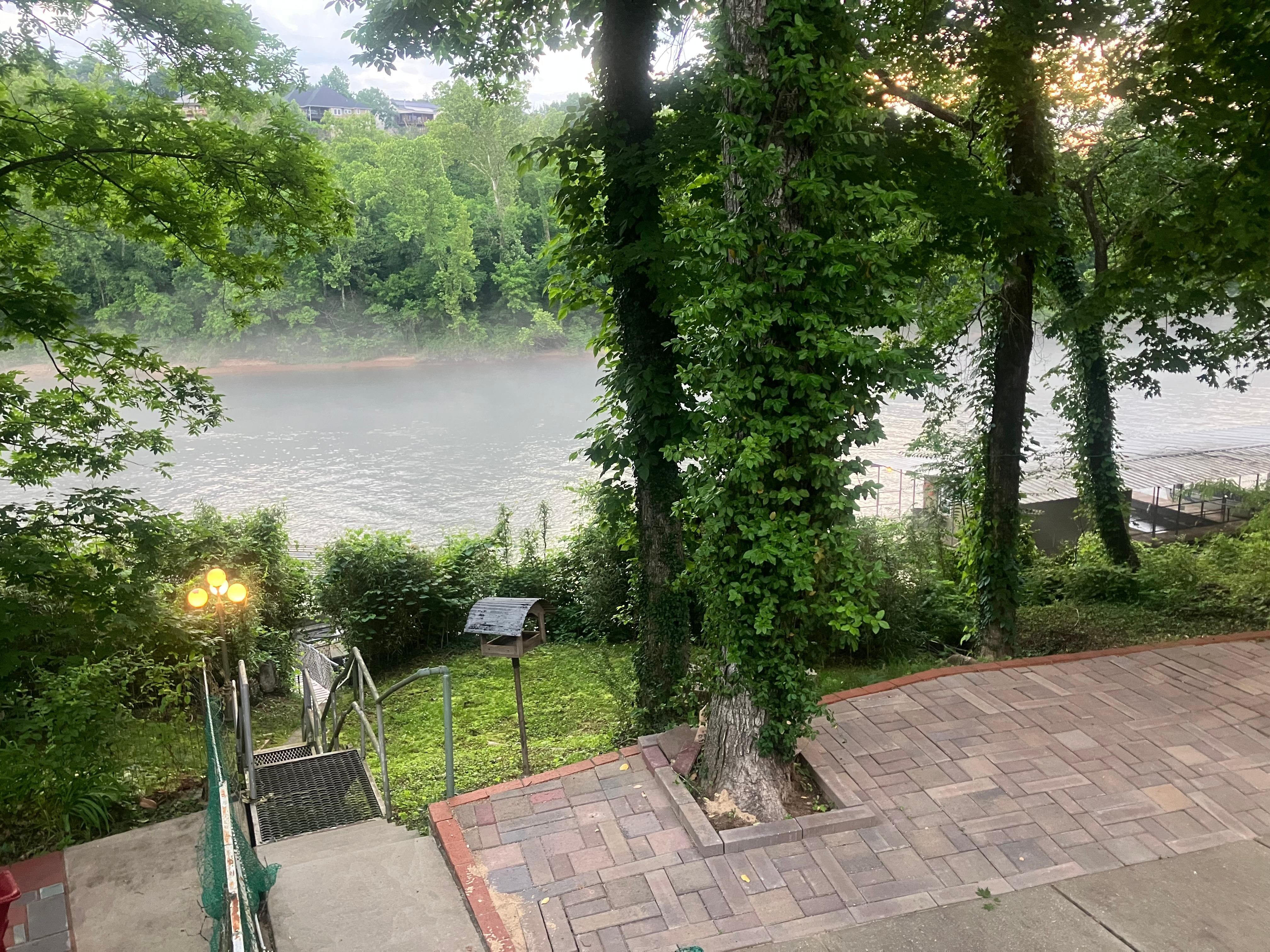 View from the deck