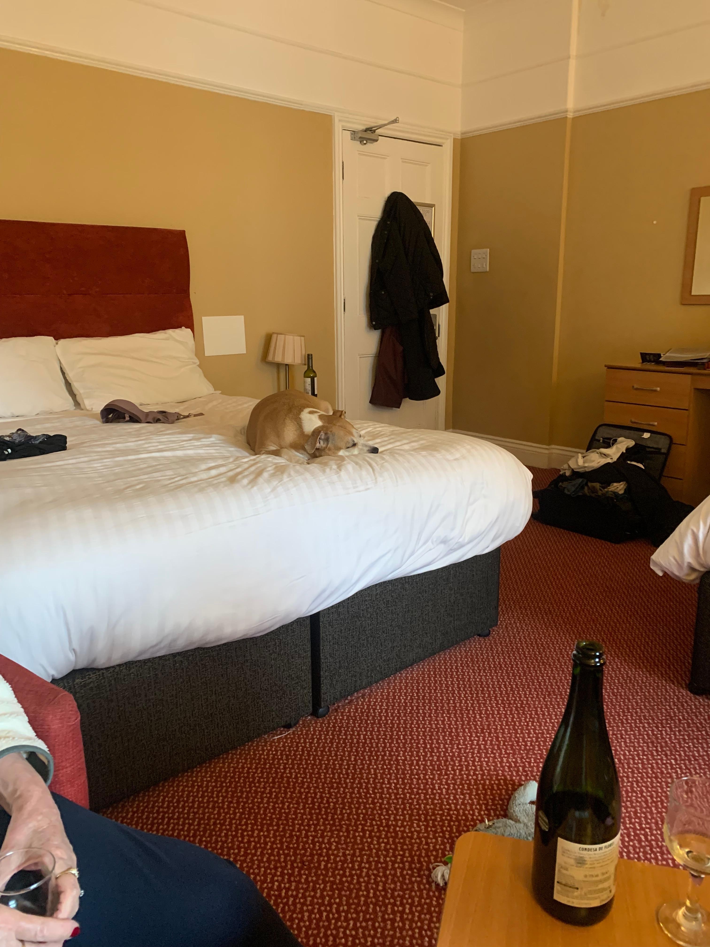 Family room, I king and 2 singles, bath, shower, sea view and shared balcony 