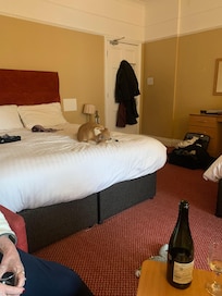 Family room, I king and 2 singles, bath, shower, sea view and shared balcony