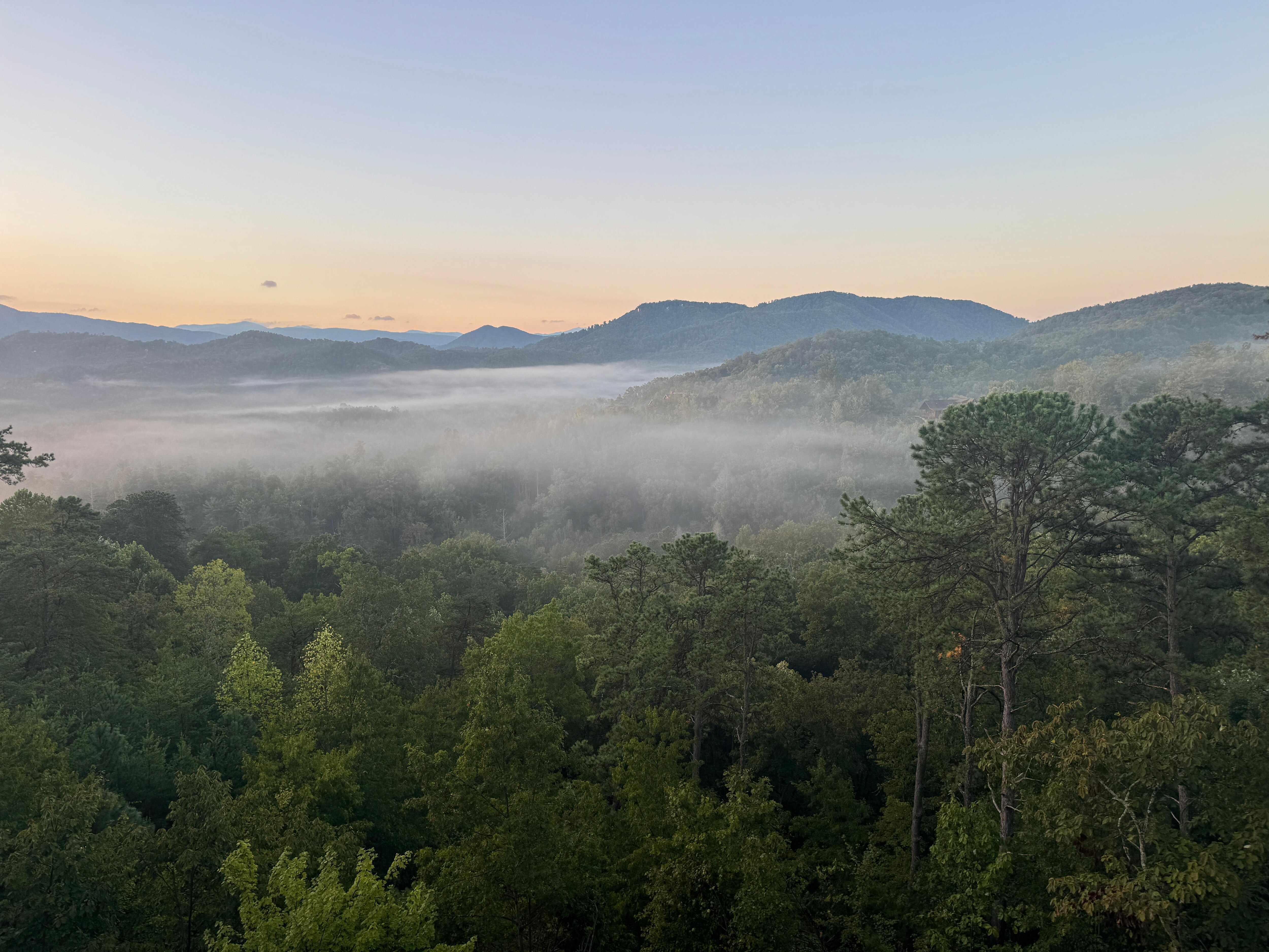Morning coffee from the middle deck. 