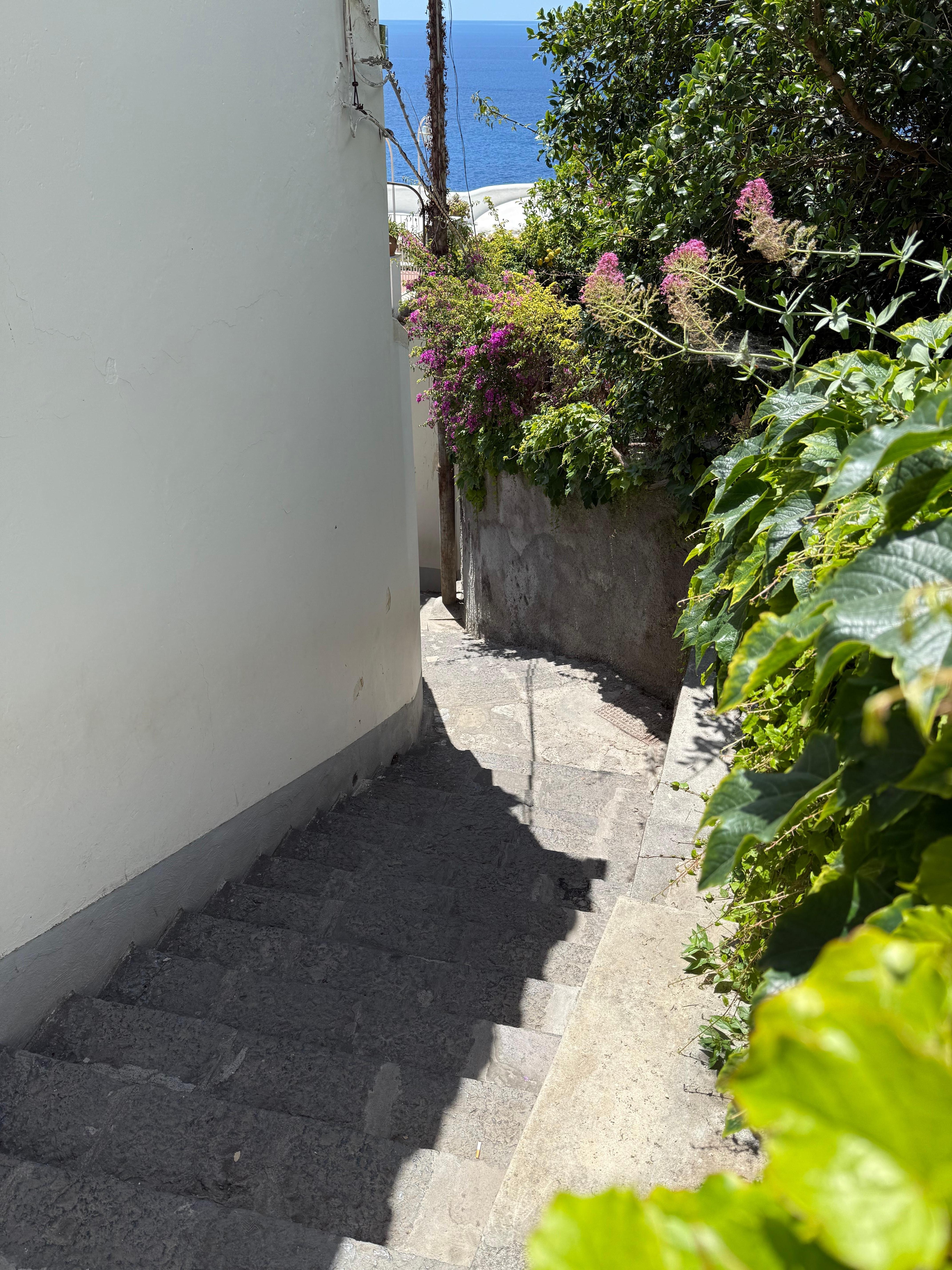 Stairs to main road