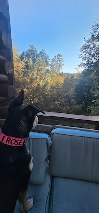 Rose loved the fall colors!