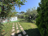 Ruime tuin met hangmat.