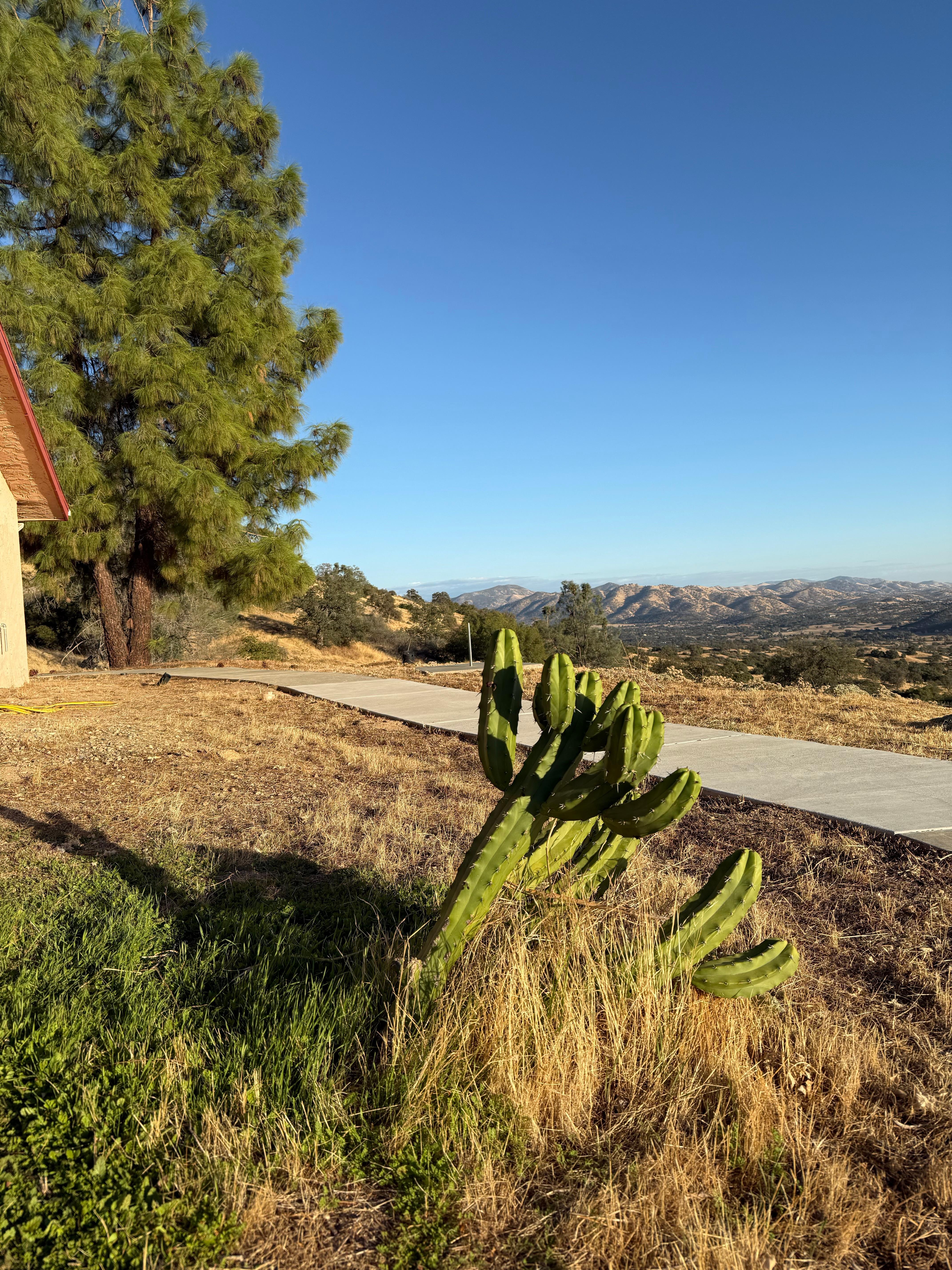 Looking northeast from the south side of the house