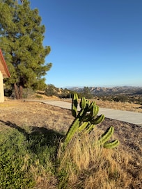 Looking northeast from the south side of the house