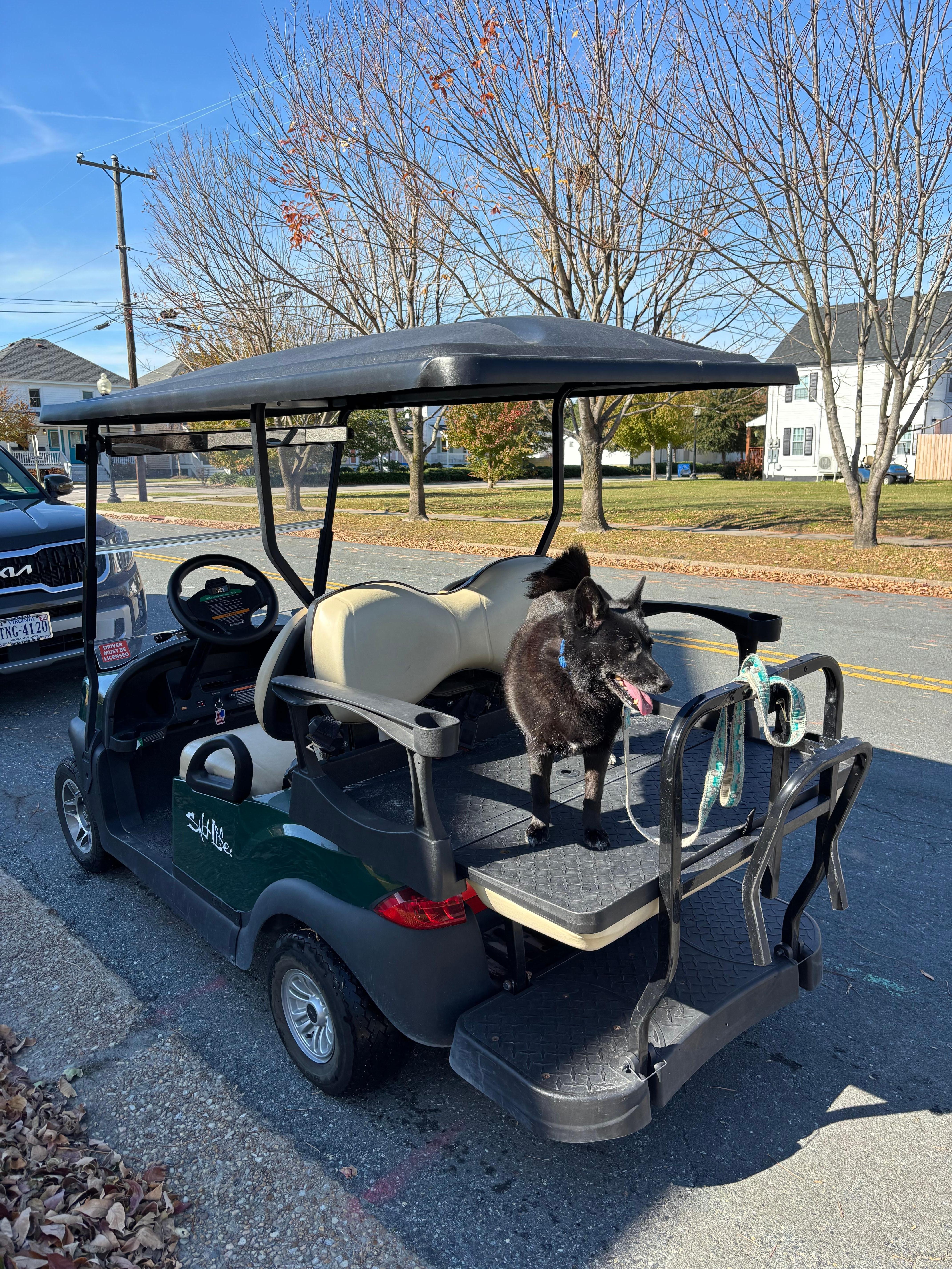 We enjoyed having access to the golf cart during our staff.  We never moved our vehicle.