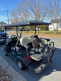 We enjoyed having access to the golf cart during our staff. We never moved our vehicle.