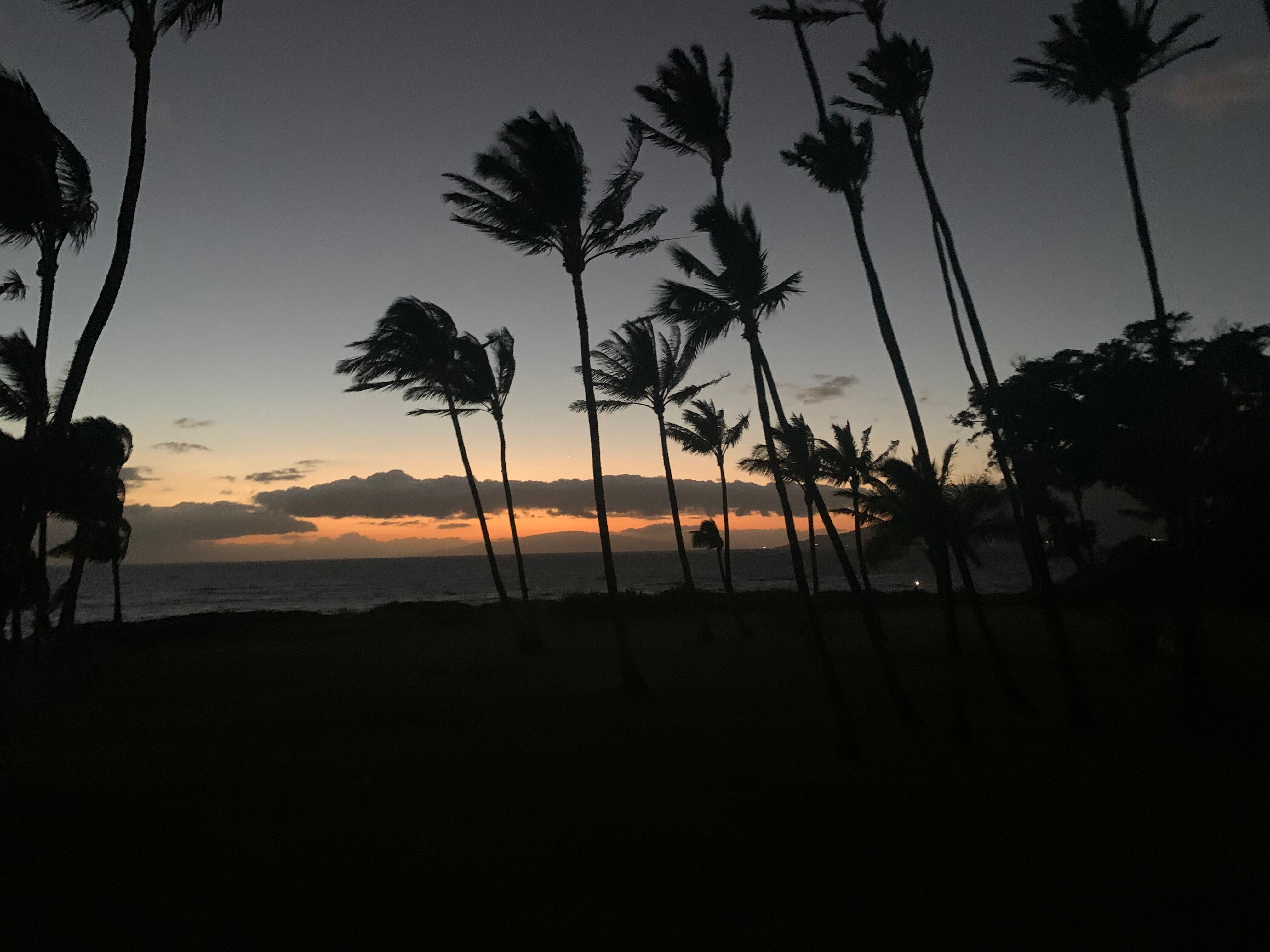 dusk view