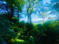 This was taken from back deck on the main level.