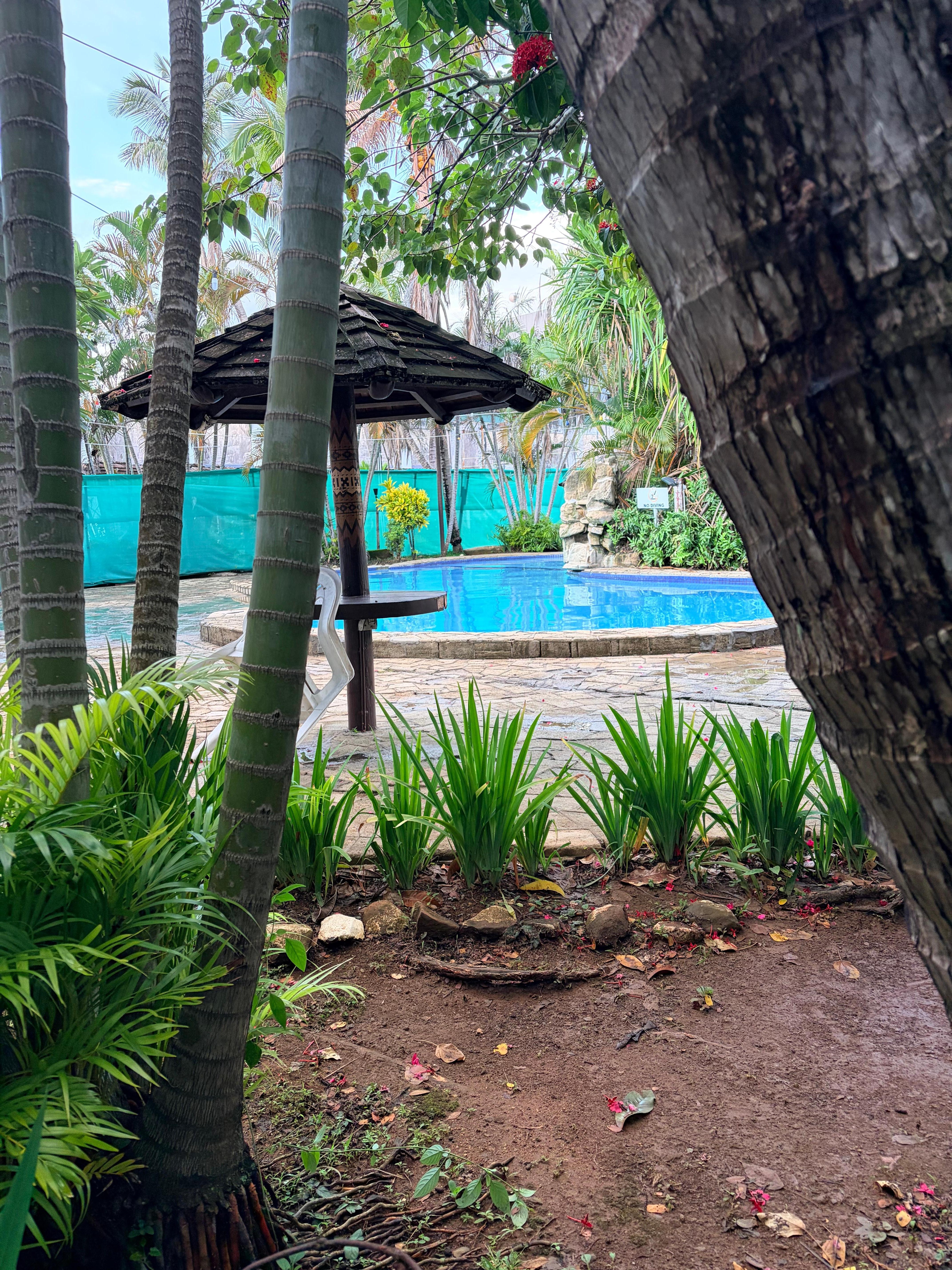 View from outdoor area. 