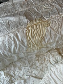 Couette avec tache urine