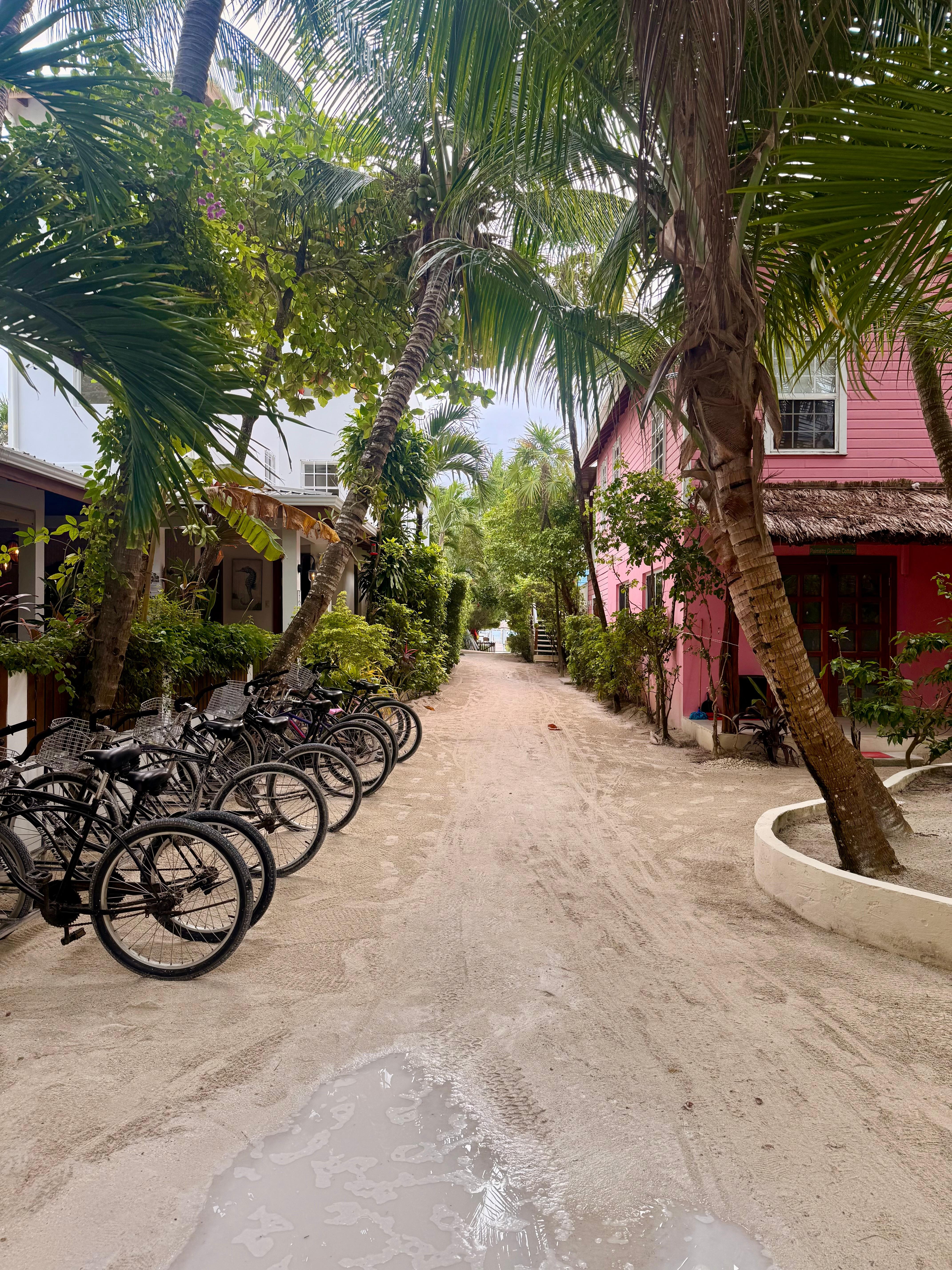Path leading from room to the dock/beach