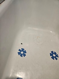 Filthy tub