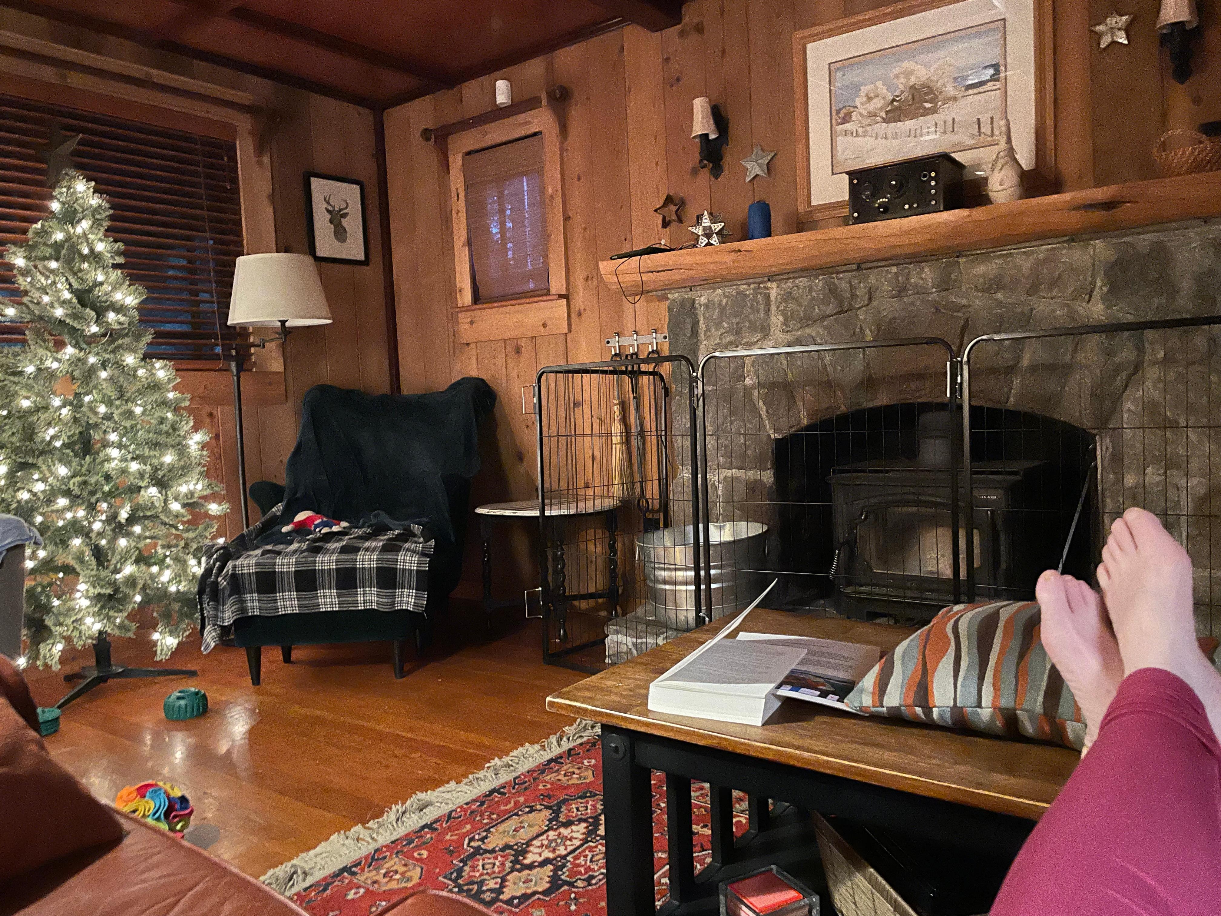 We put up the gate pictured here to keep our dog away from the hot stove.