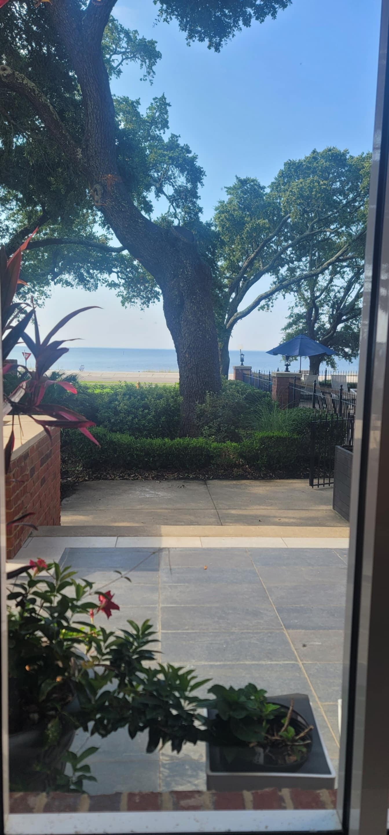 Our view while eating breakfast. 