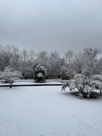 Beautiful view from the kitchen.
