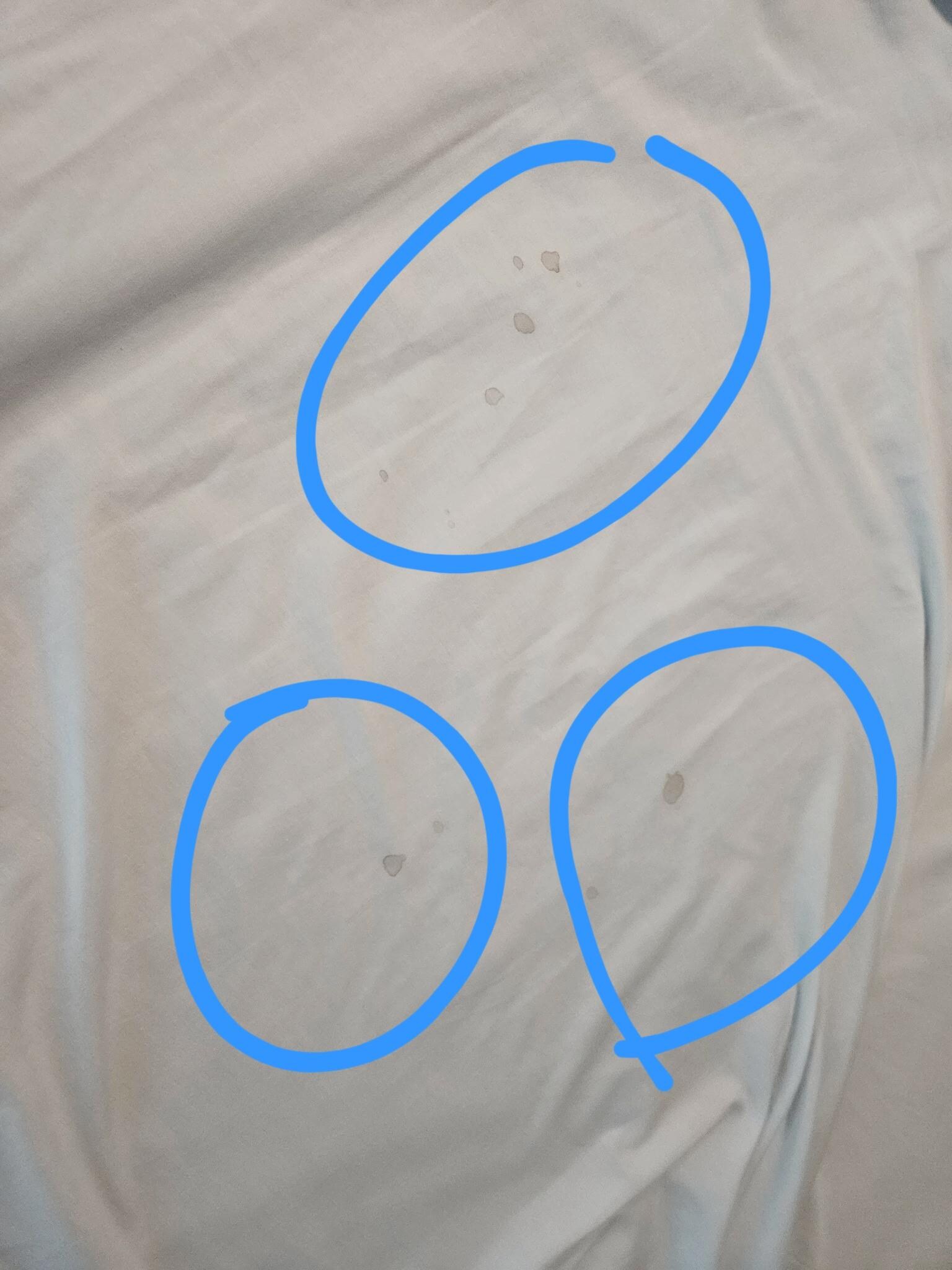 Stains on the sheet...not sure of what but totally disgusting 