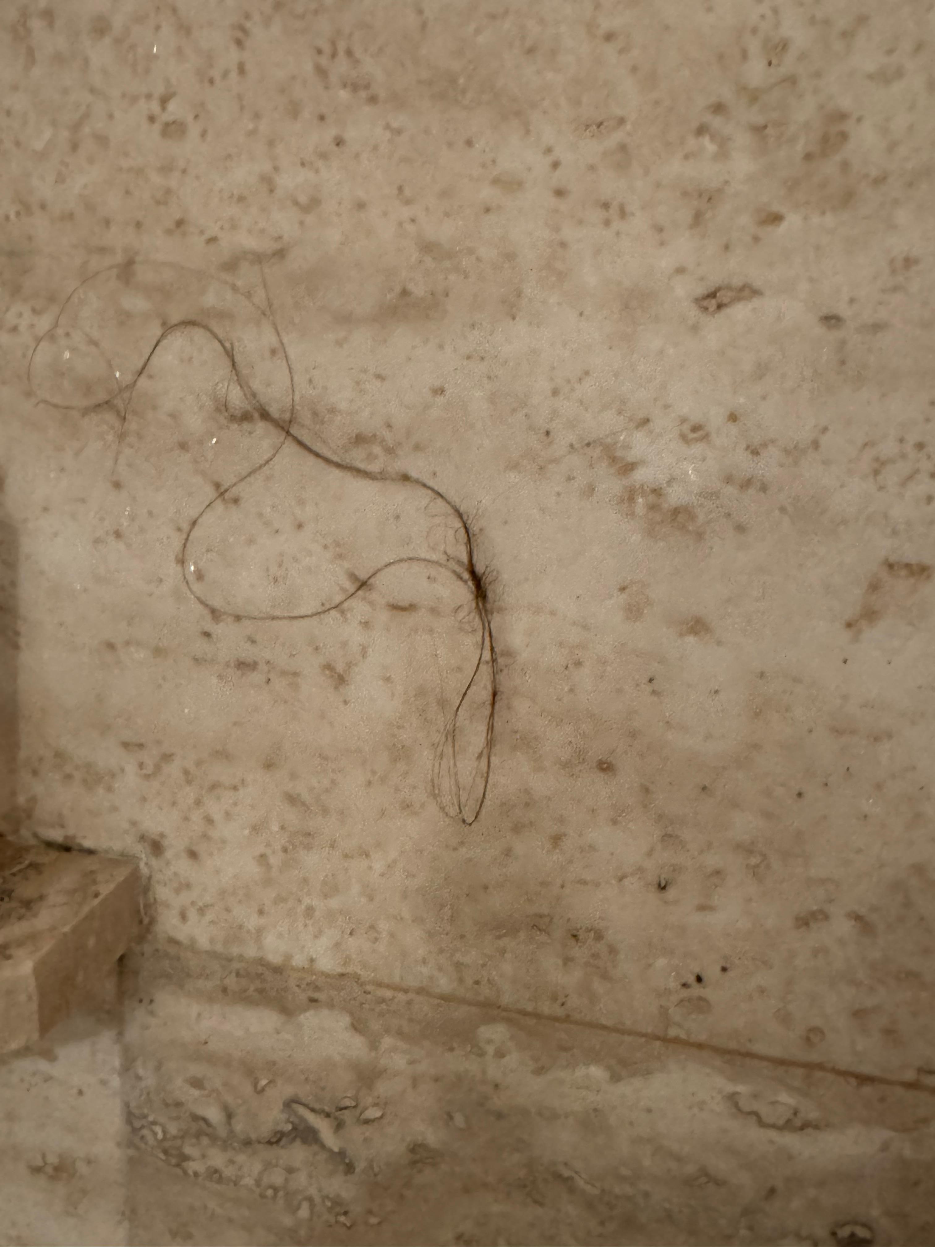 They never cleaned the shower.