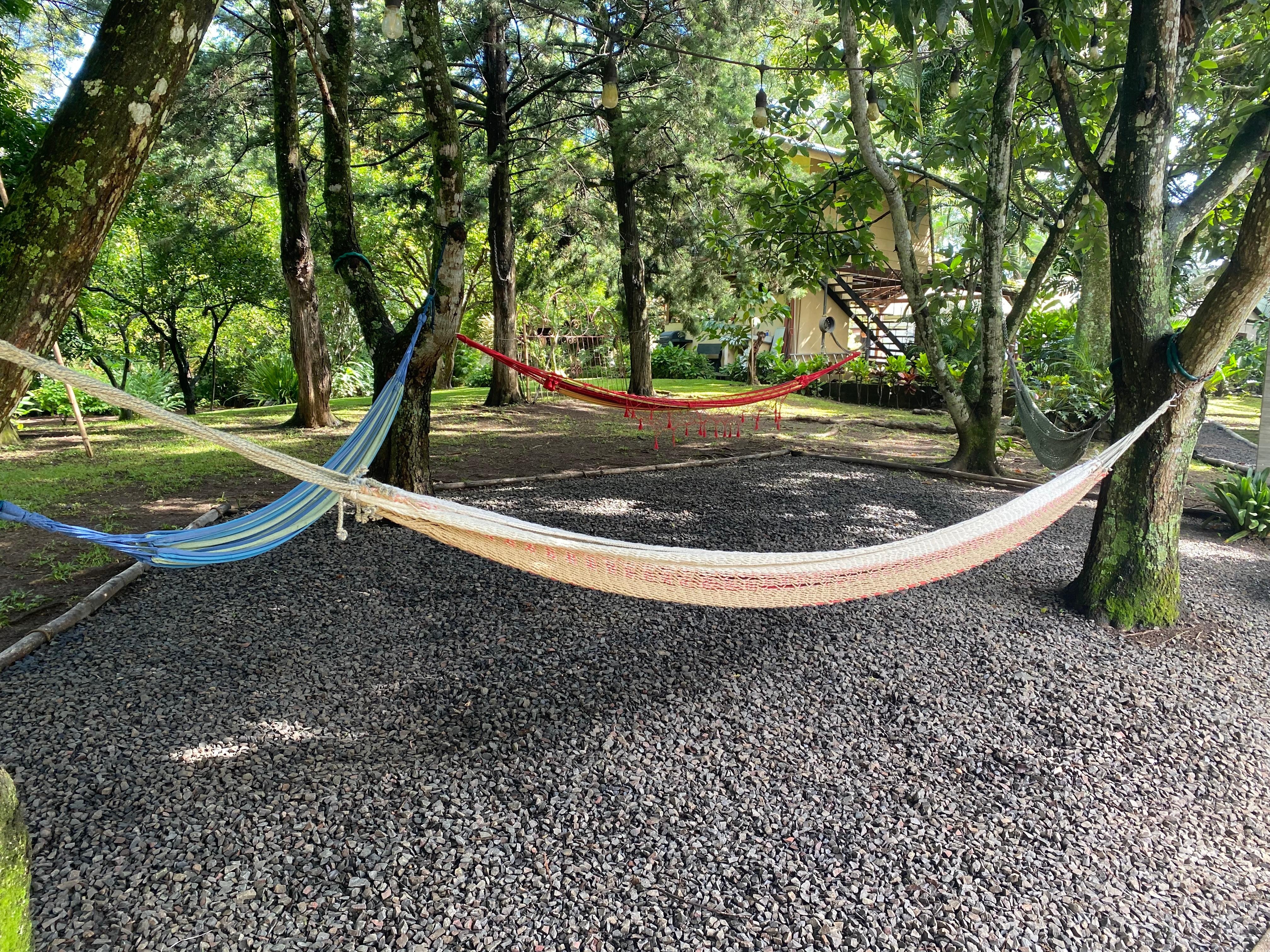 Relaxing in a hammock next to the infinite pool