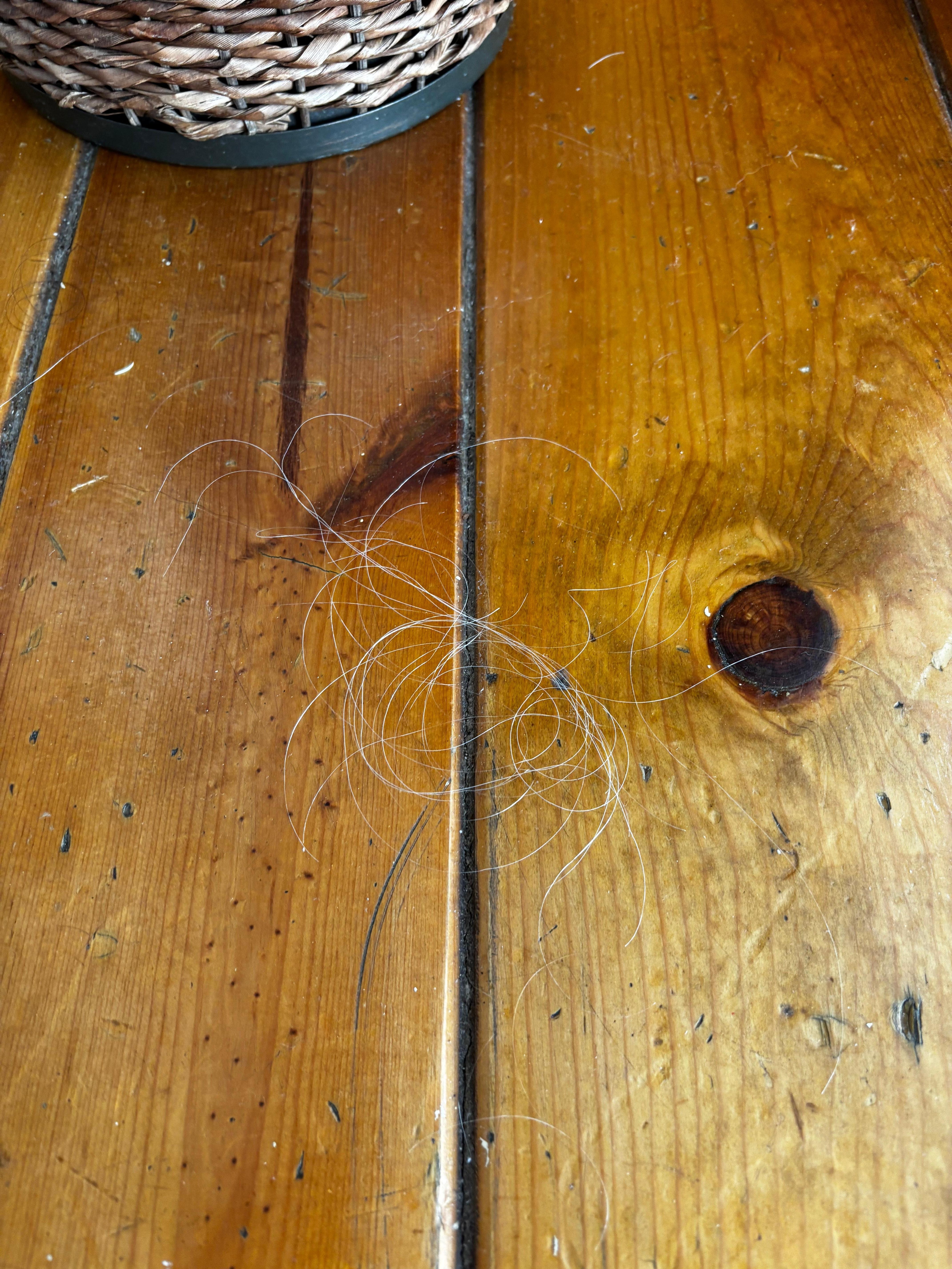 Cabellos por toda la habitación.