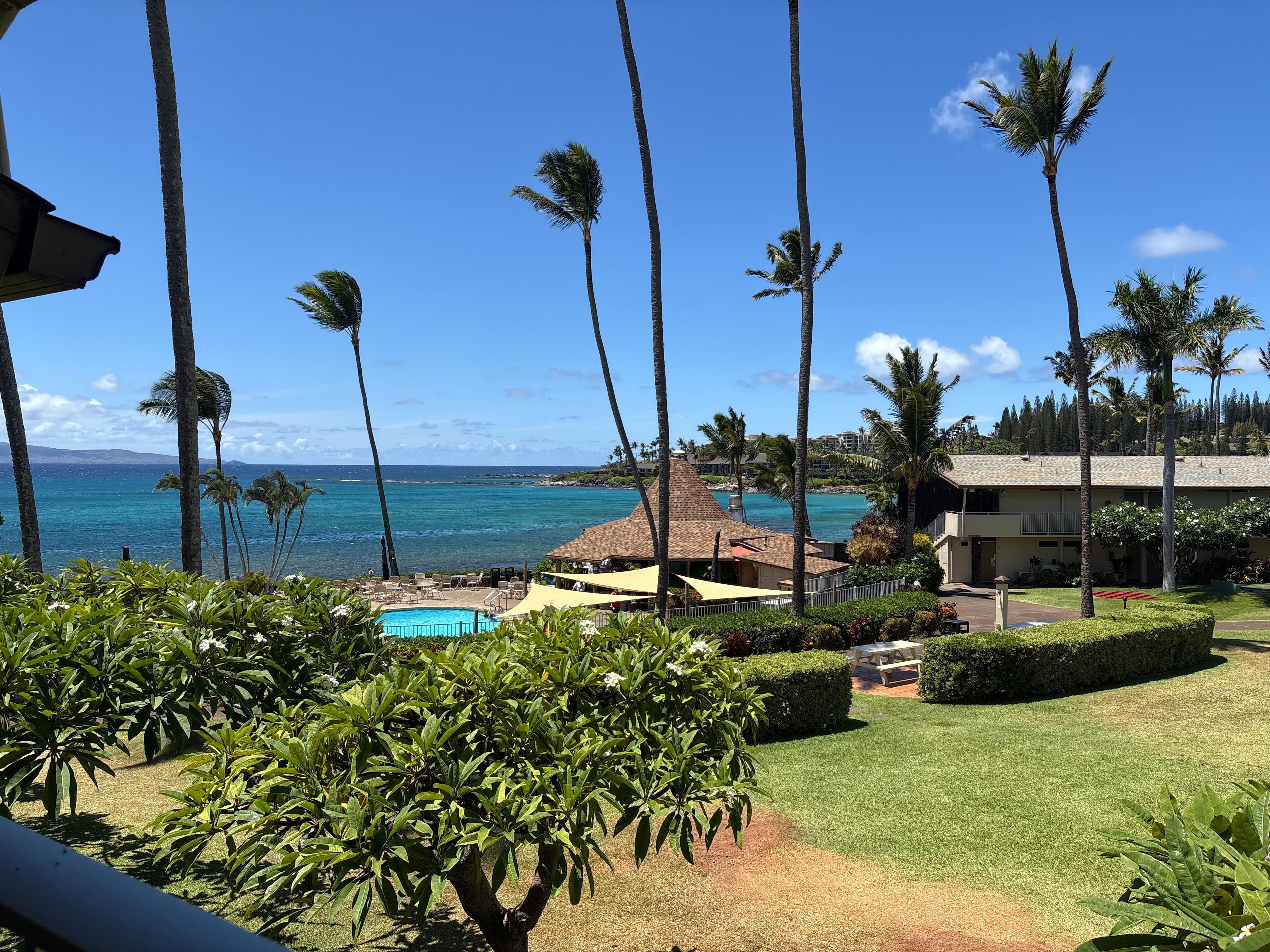 View from the lanai