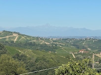 Local landscape