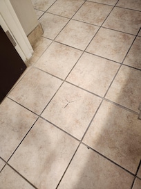 Broken tile in bathroom