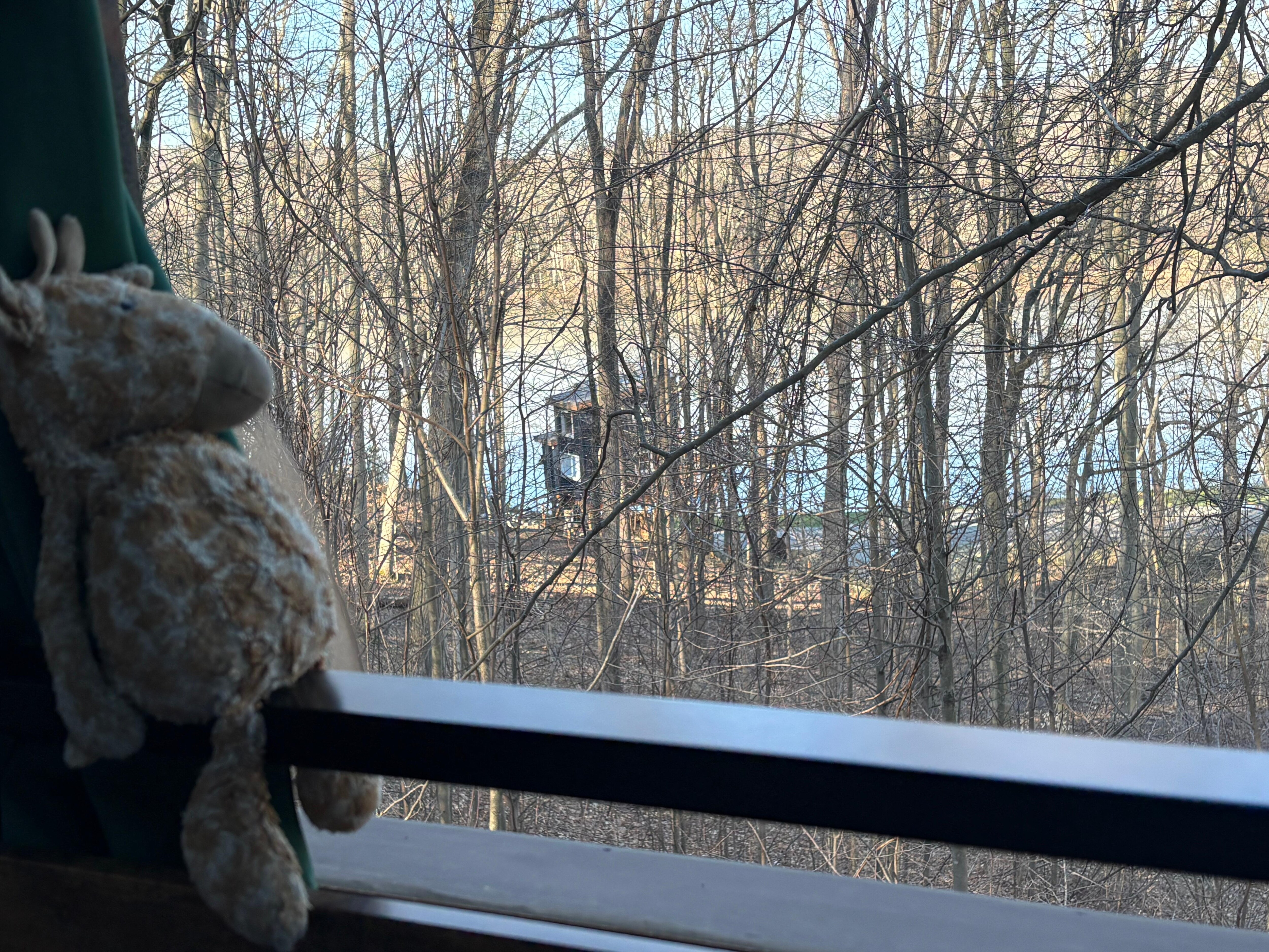 ‘Mo taking in the view. 