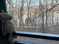 ‘Mo taking in the view.