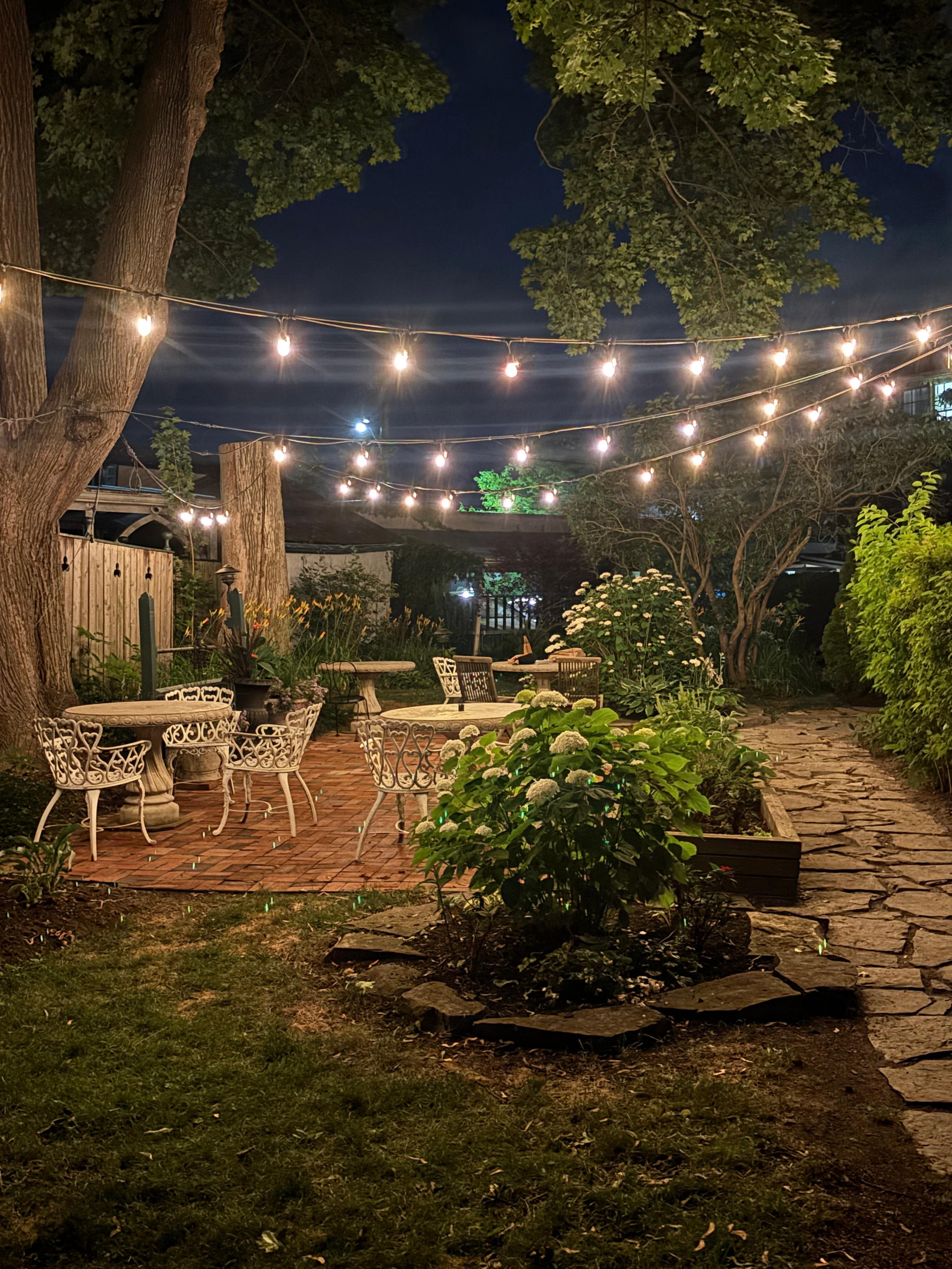 The back yard area