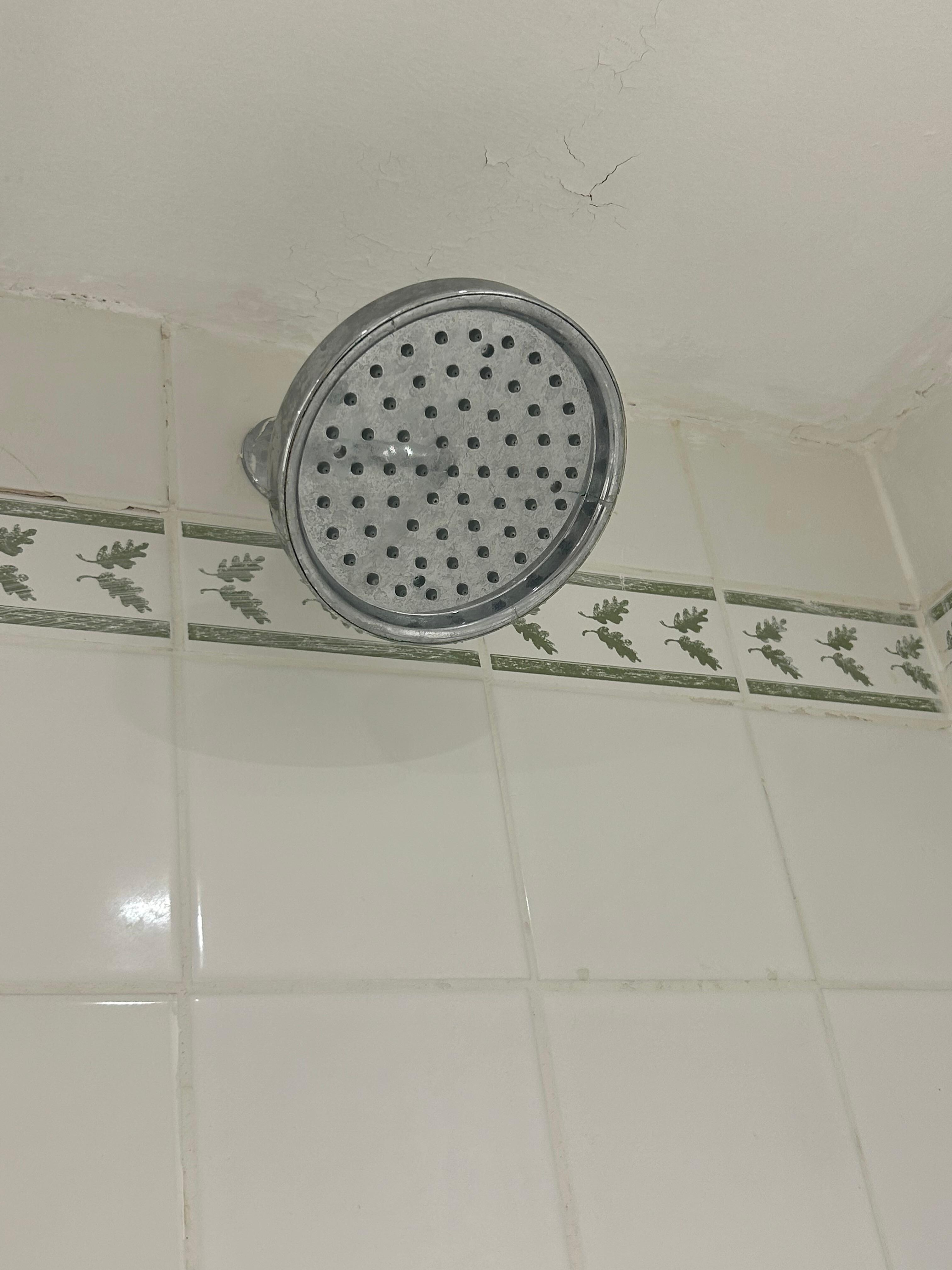 Cracked shower head 