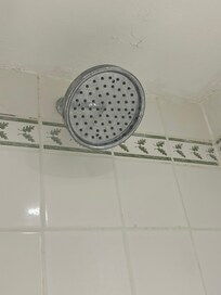 Cracked shower head