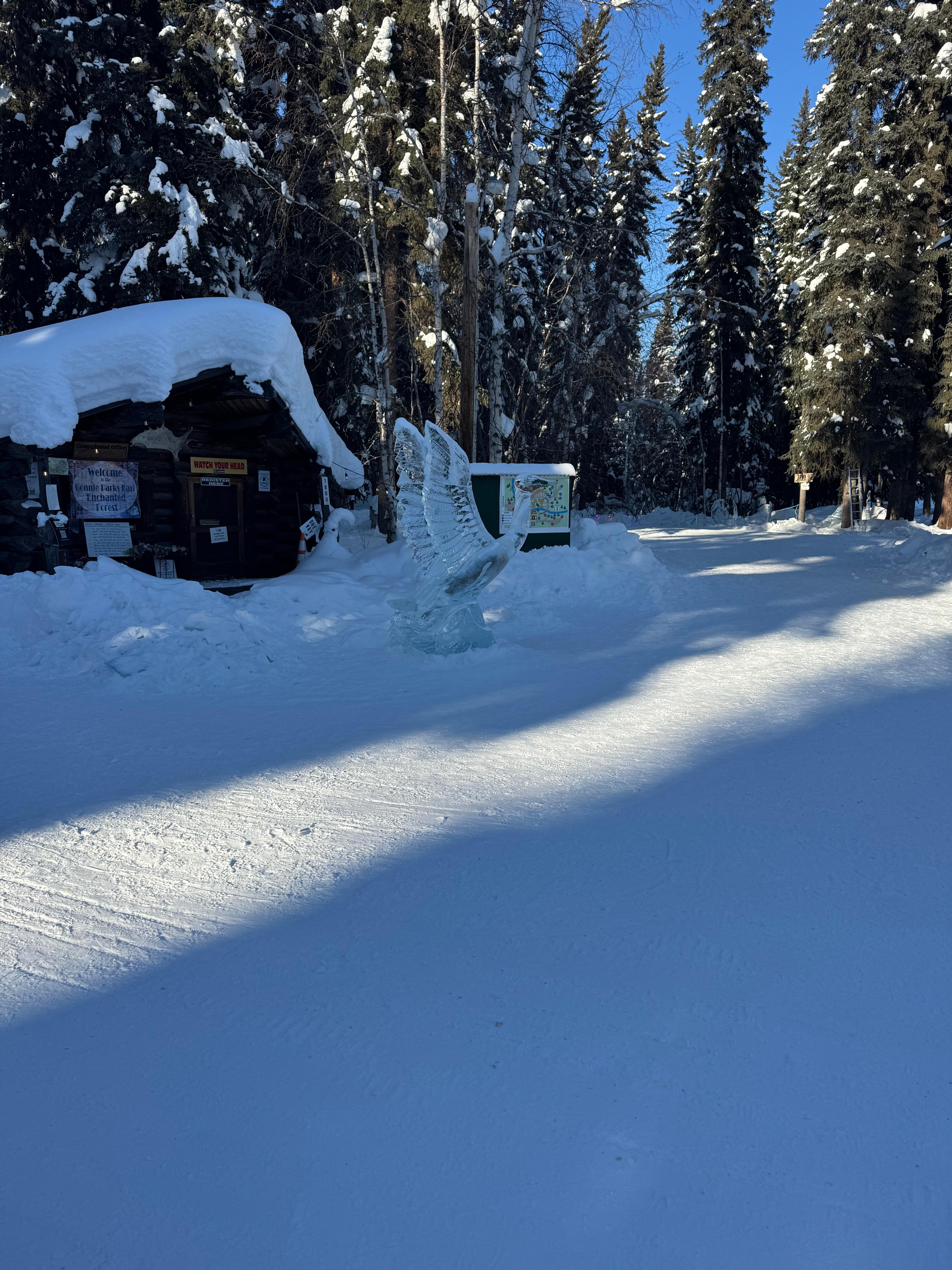 I want to be there for the Aurora. This is the view from my window in the spring

