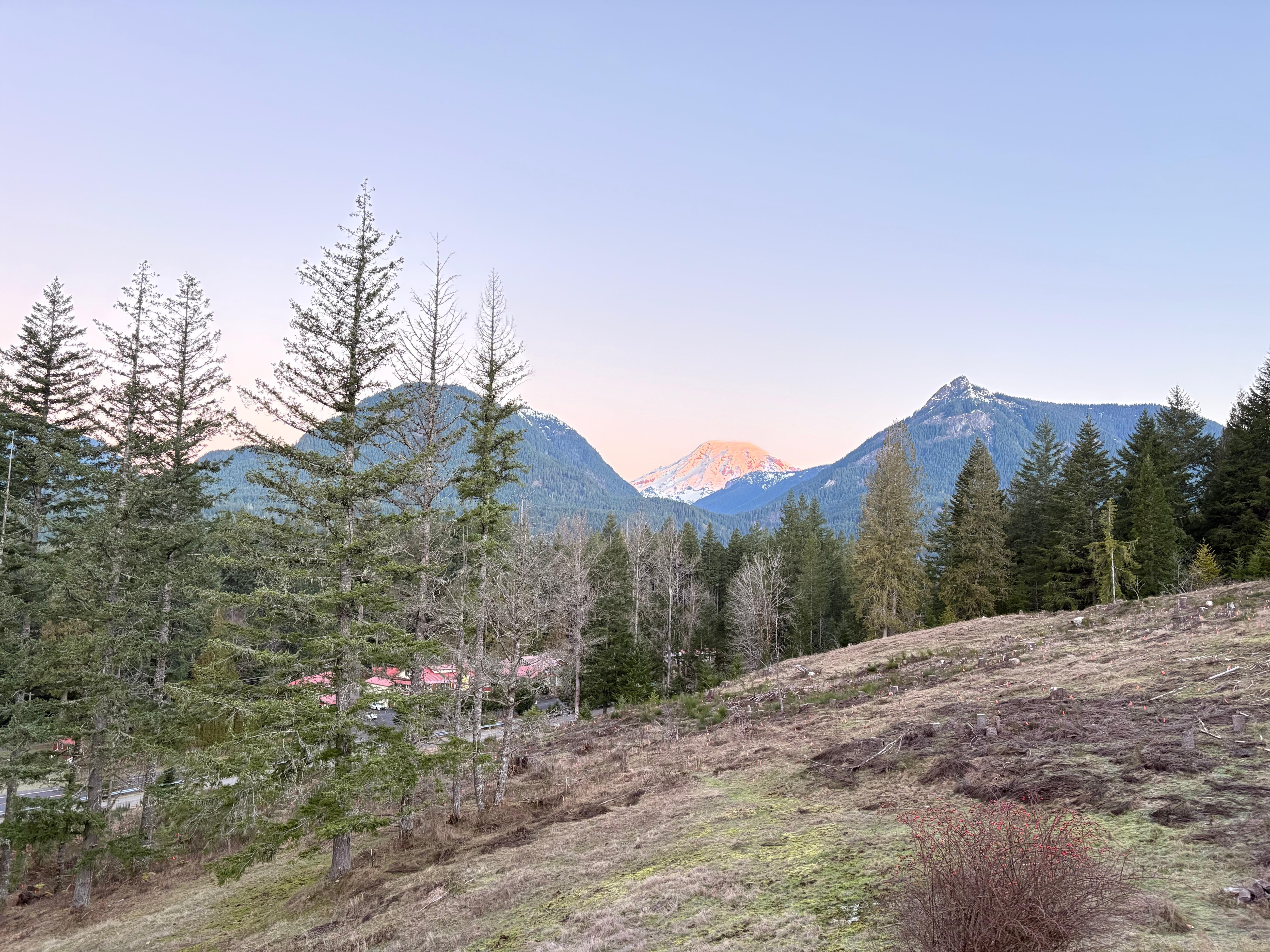 View of Mt Rainier in the morning.