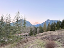 View of Mt Rainier in the morning.