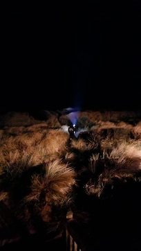 Bring a flash light for night adventures.