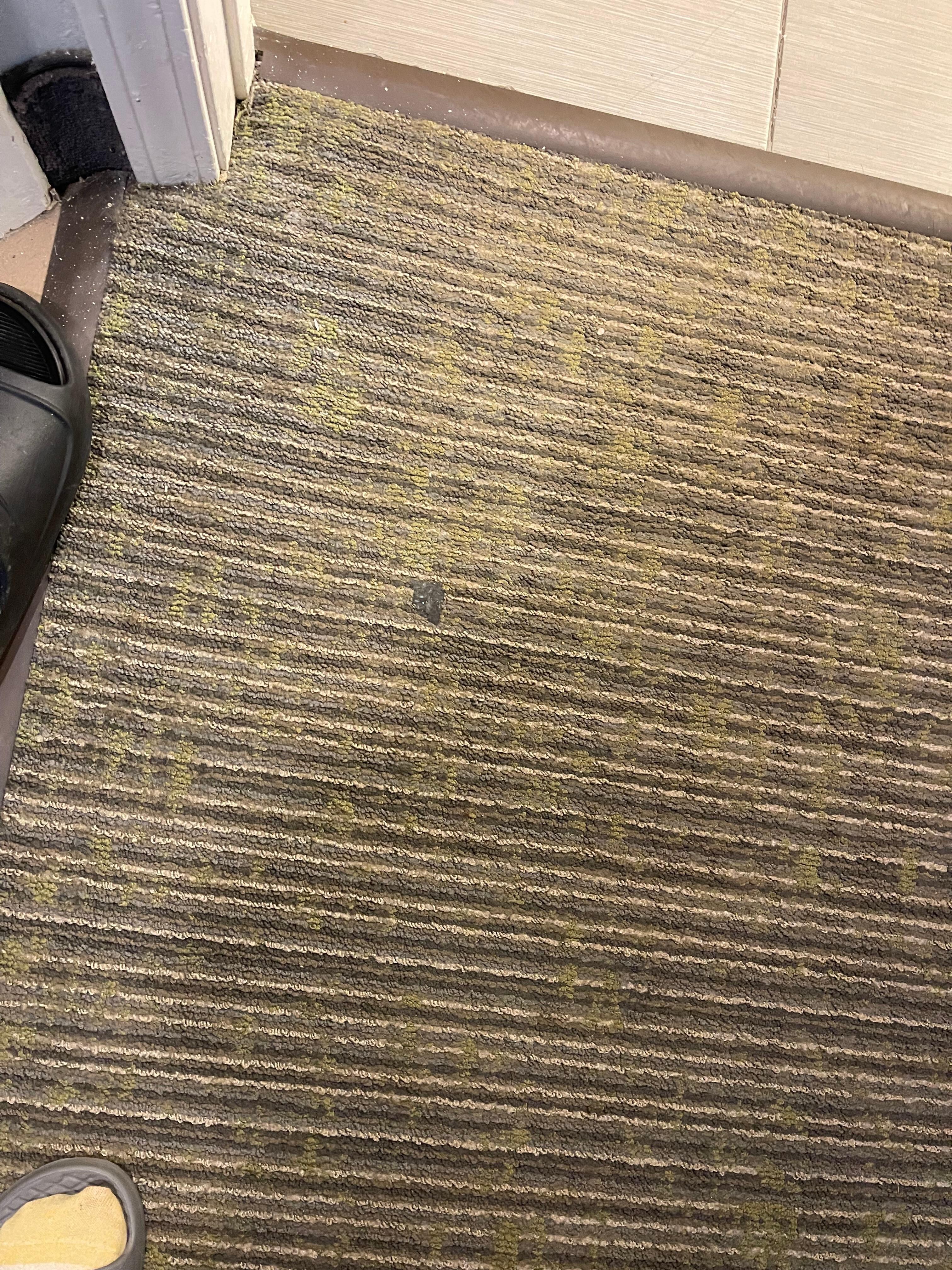 Carpet very old and smelly