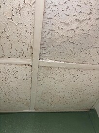 Roof falling through?