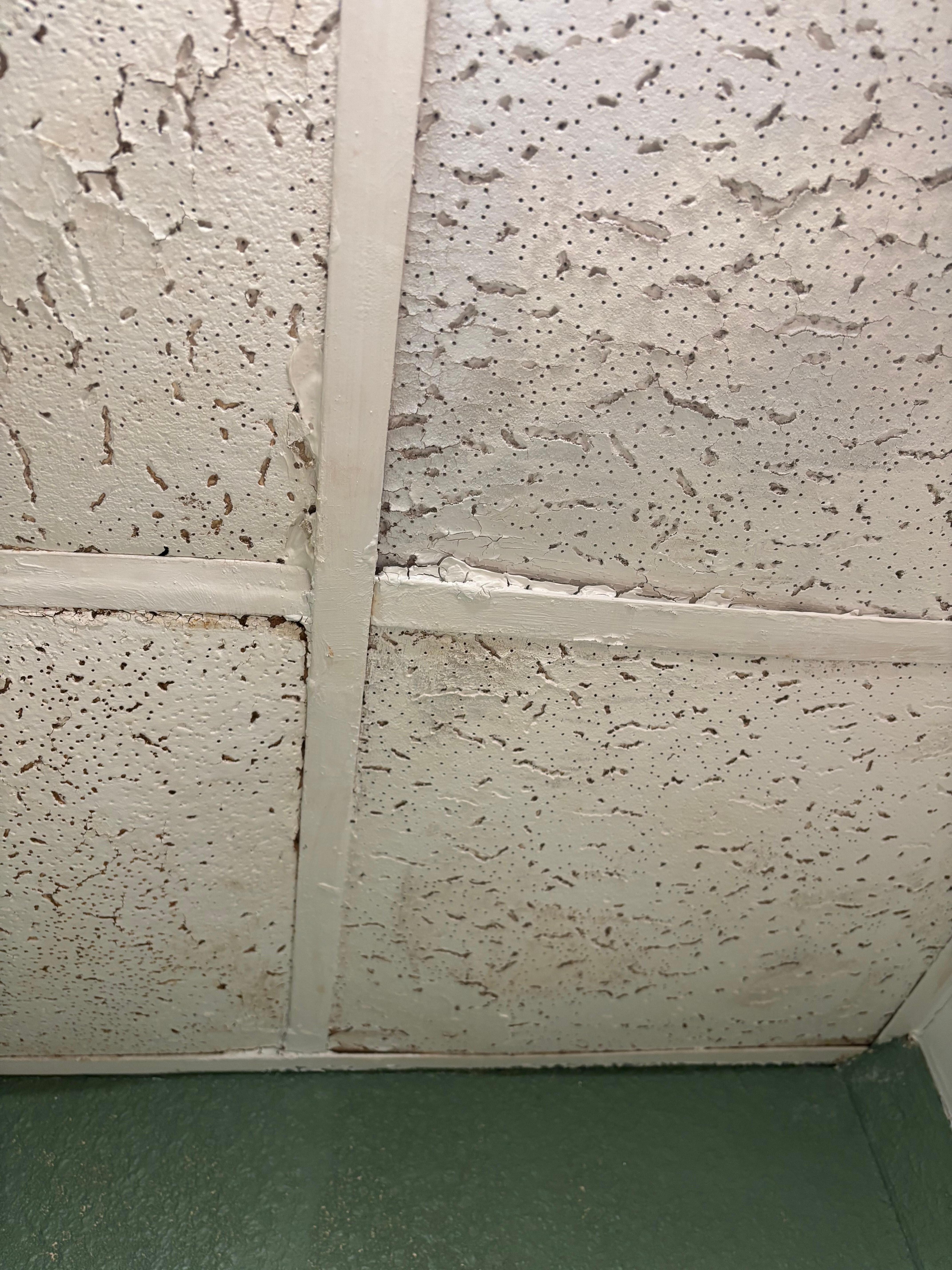 Roof falling through?