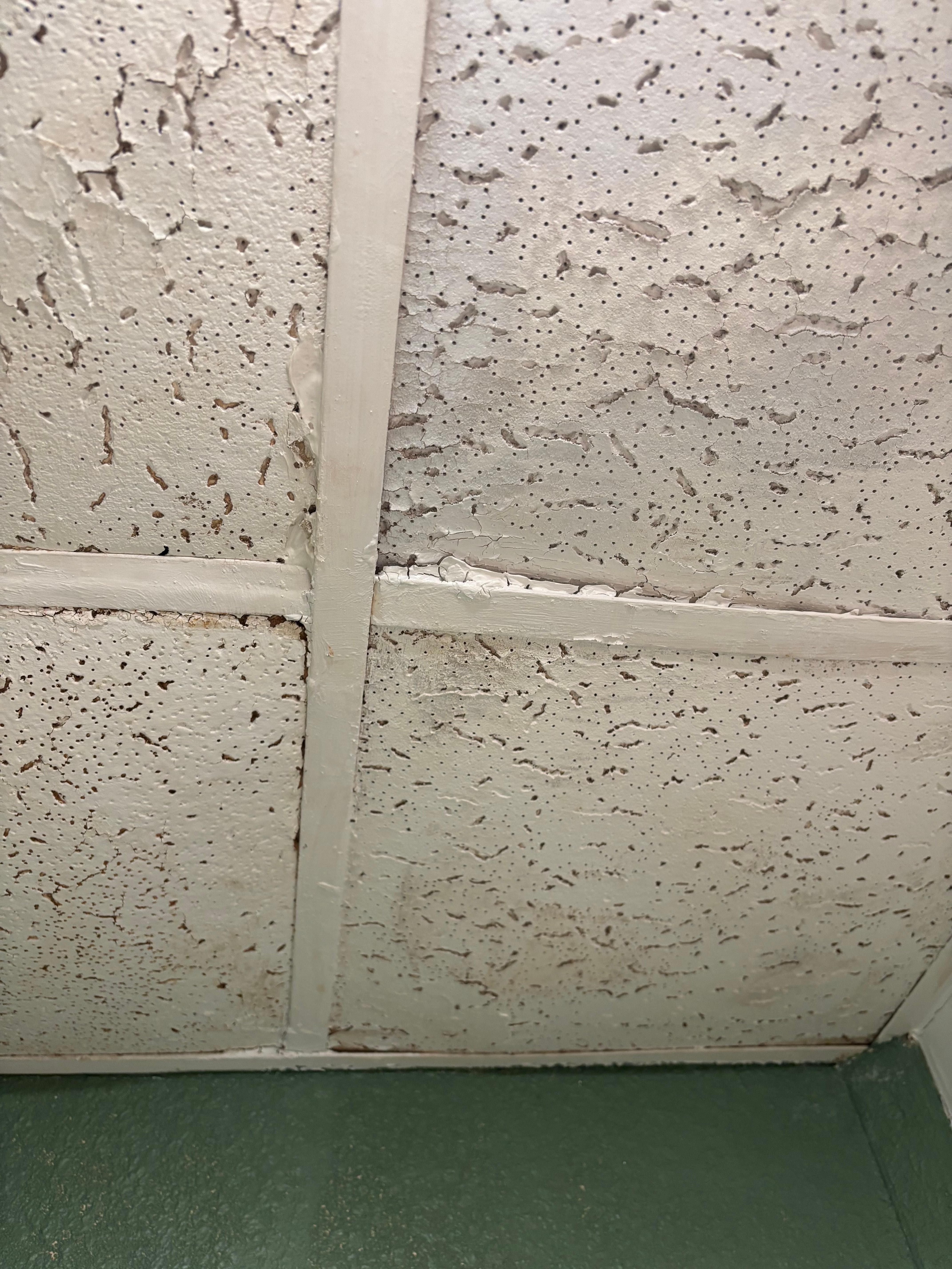 Roof falling through?