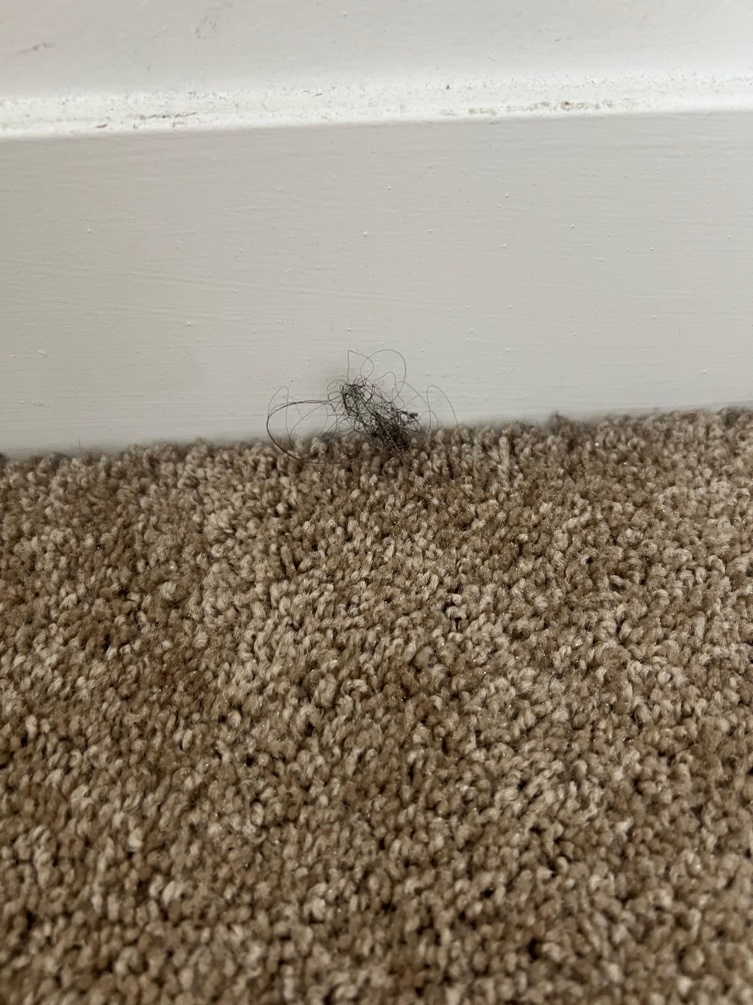 Hair on the bedroom floor