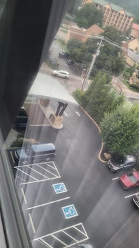 A black bear at the entrance in Gatlinburg!