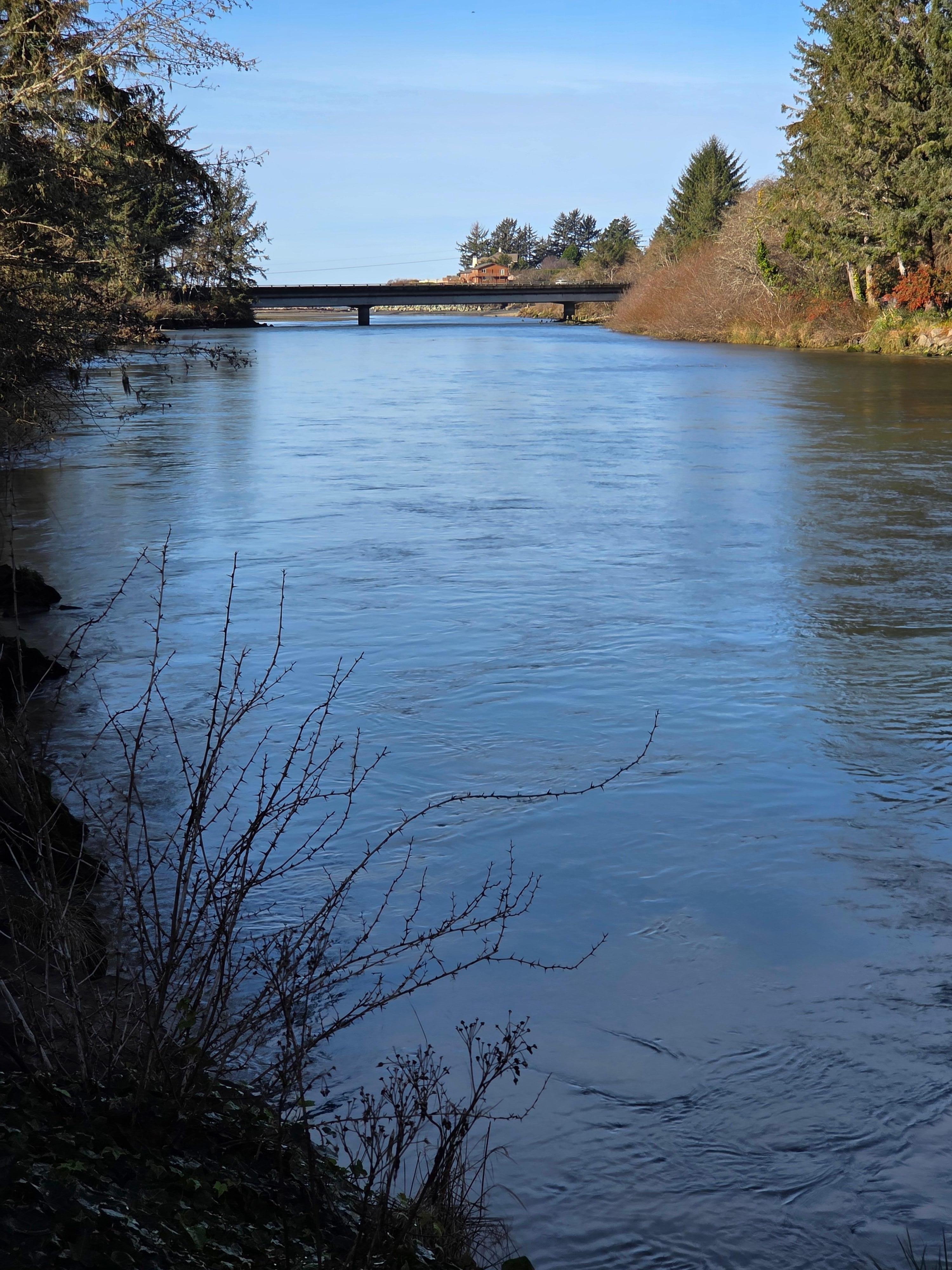 In front of the porch looking down river.