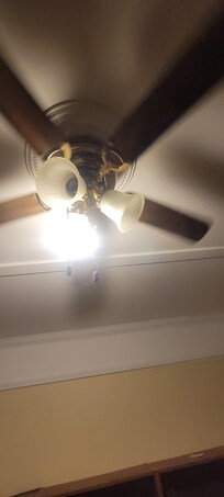 Half of the dining room lights missing out of the fan, dimly lit