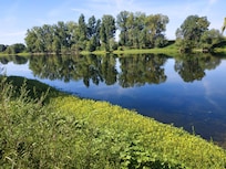 La Vienne à Parçay