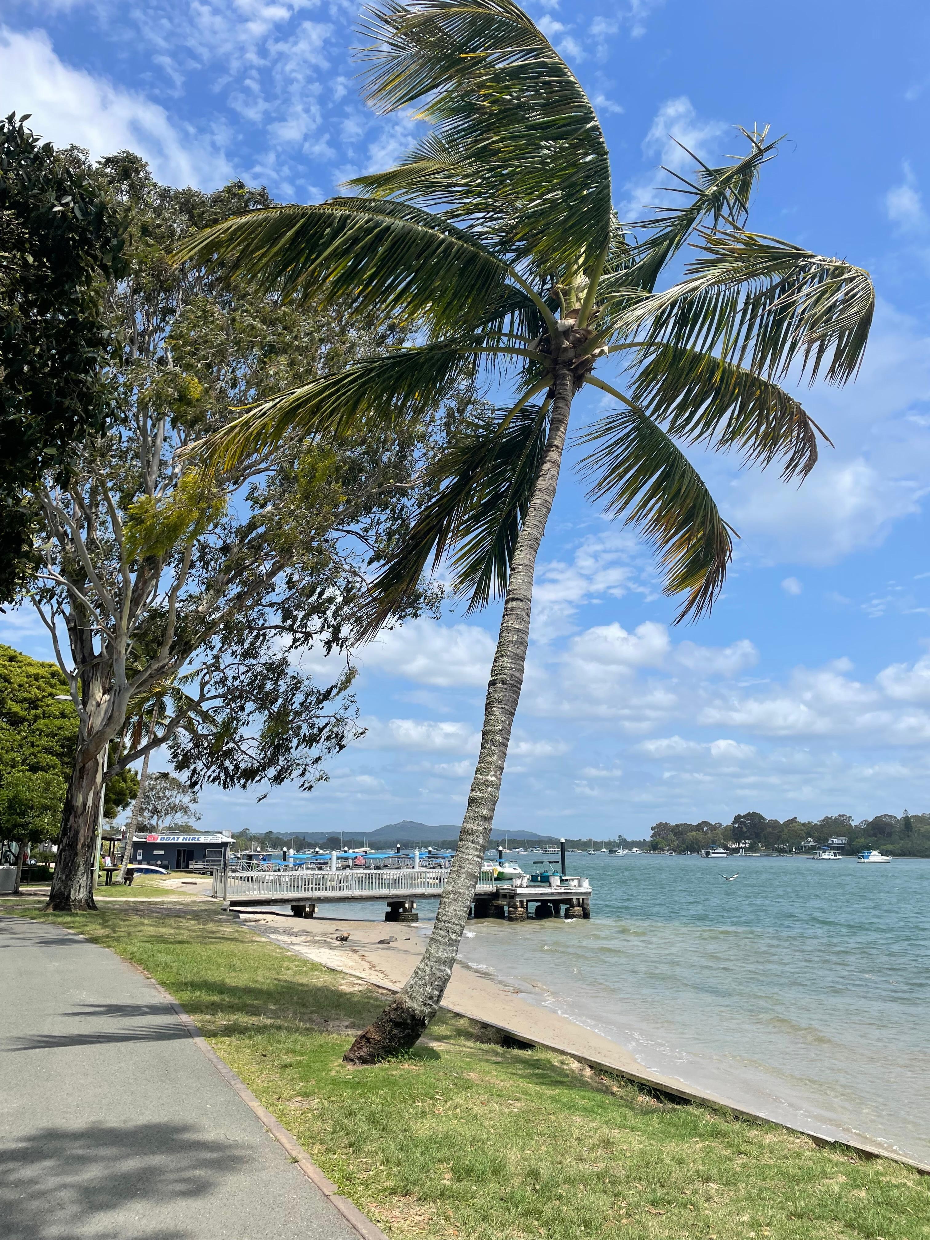 Noosa river view