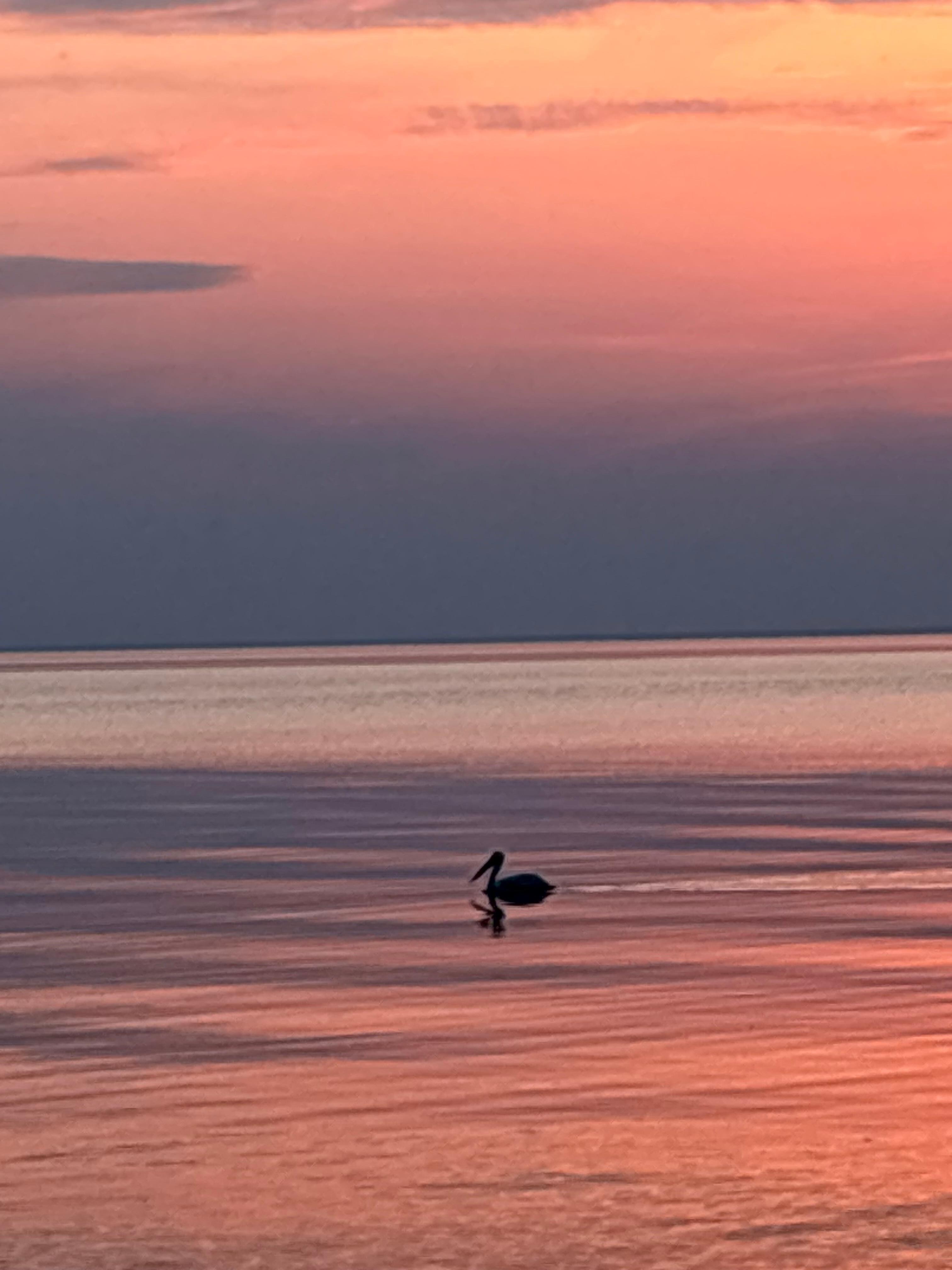 Look at this sunset view !