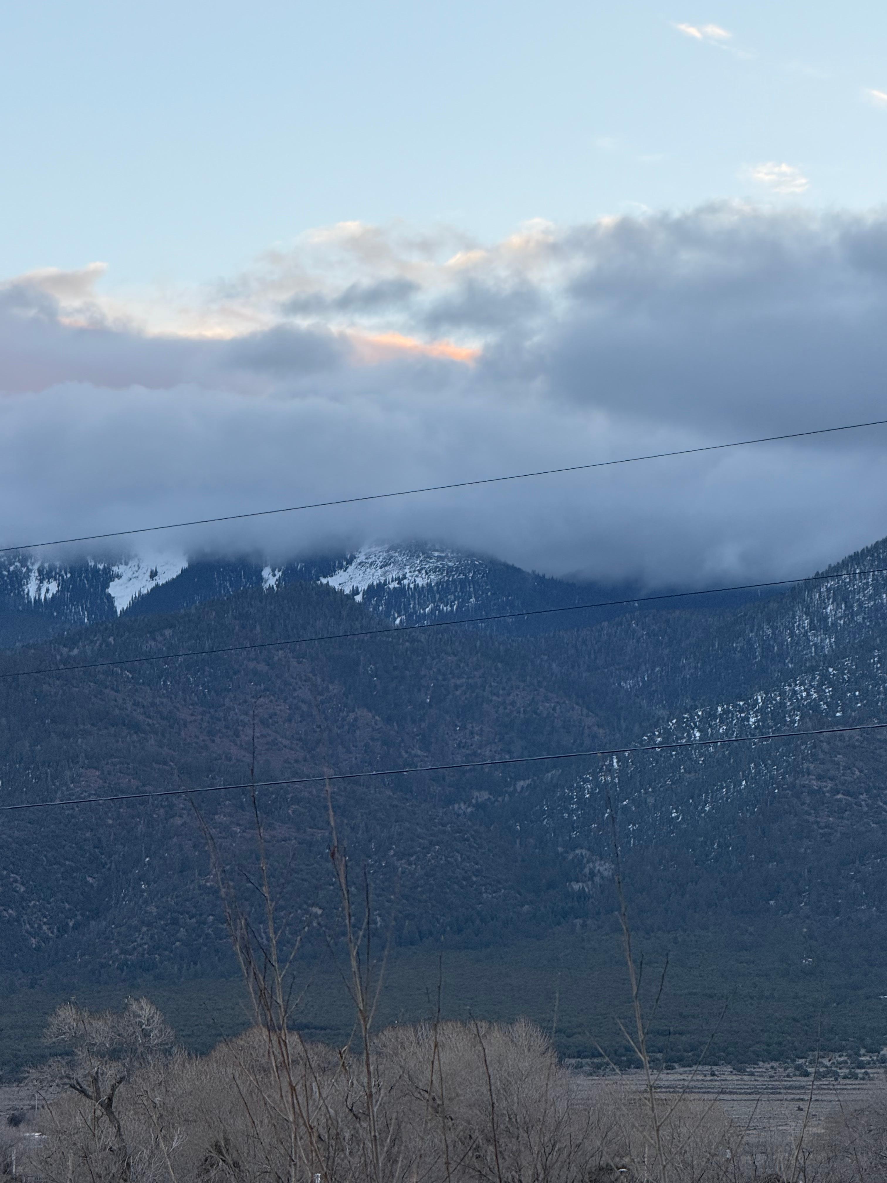 View from the front porch. 