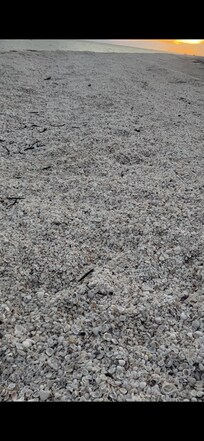 Shell piles