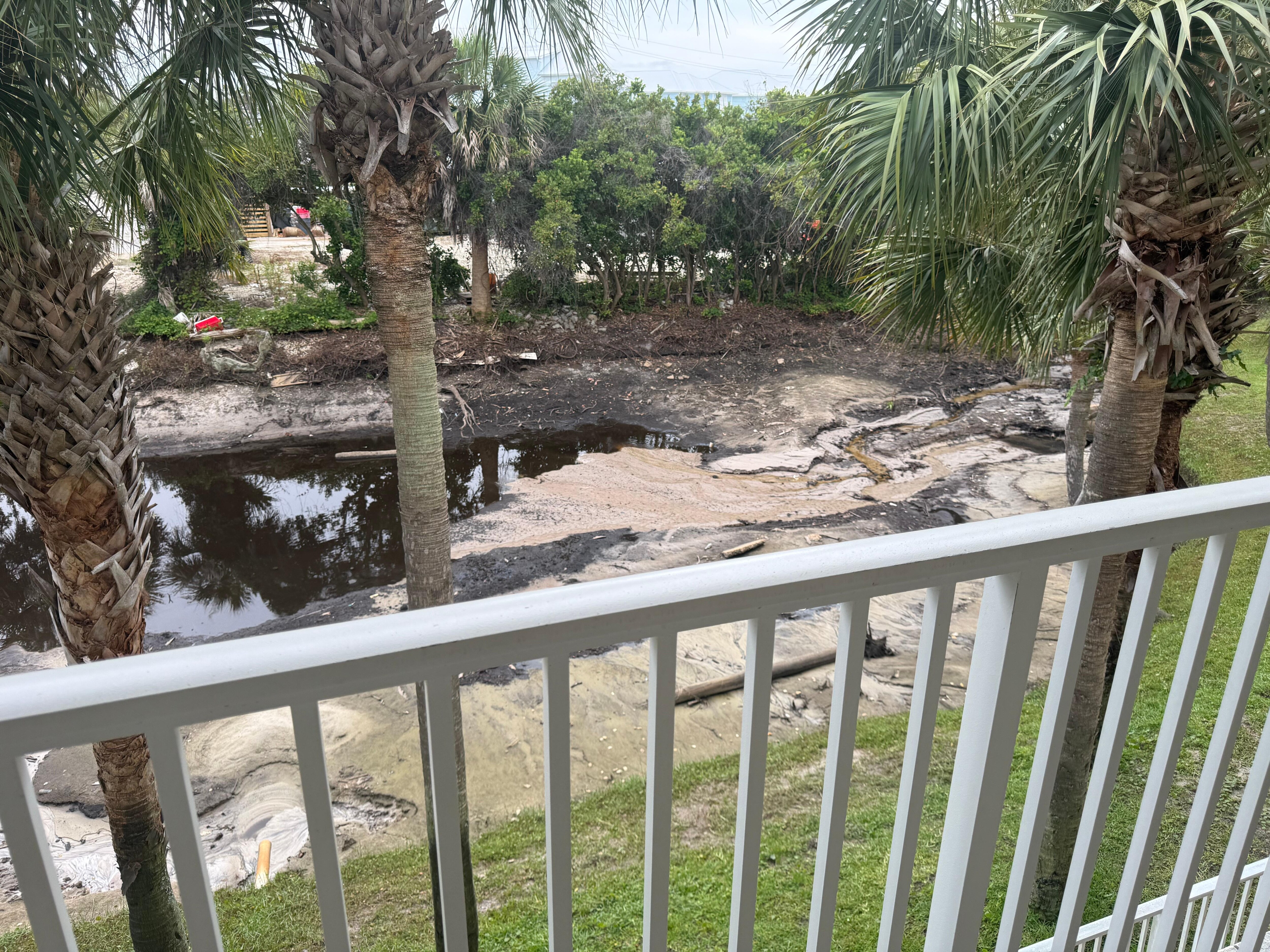 Drained pond